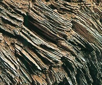 变质岩的主要造岩矿物有哪些