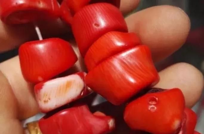 海竹是什么颜色的