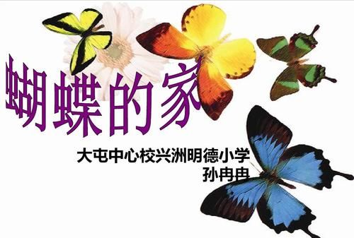 蝴蝶的家在哪里呢