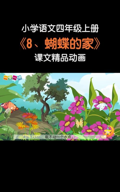 下雨时,蝴蝶的家在哪里