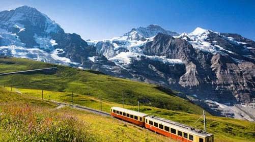 阿尔卑斯属于哪个洲