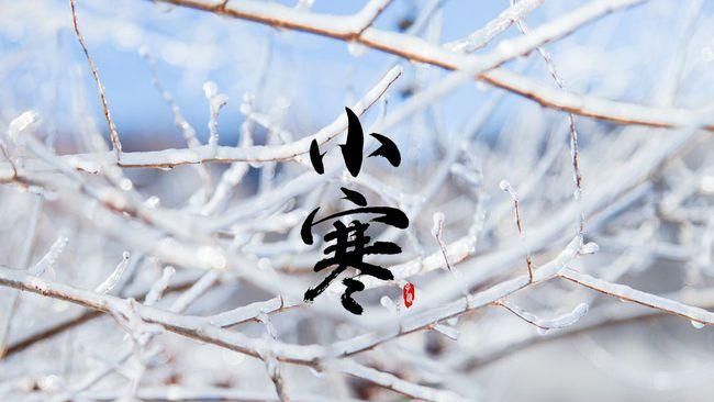 小寒应该吃什么