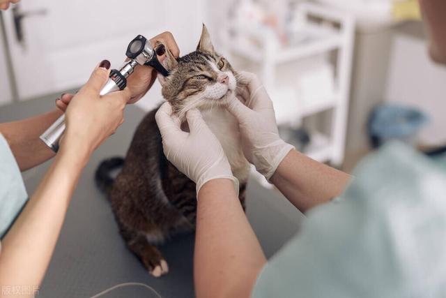 农学考研容易学的专业（农学考研大解析来了）(5)