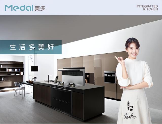 哪个牌子的集成灶是一线品牌的（集成灶十大品牌最新名单）(4)