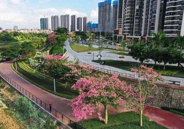 茂名森林公园有啥好玩的(亲探茂名这个宝藏公园)(2)