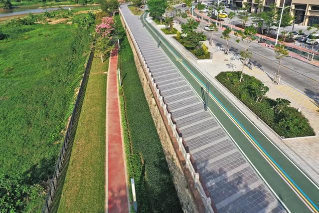 茂名森林公园有啥好玩的(亲探茂名这个宝藏公园)(10)