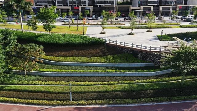 茂名森林公园有啥好玩的(亲探茂名这个宝藏公园)(5)