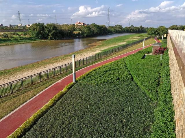 茂名森林公园有啥好玩的(亲探茂名这个宝藏公园)(9)