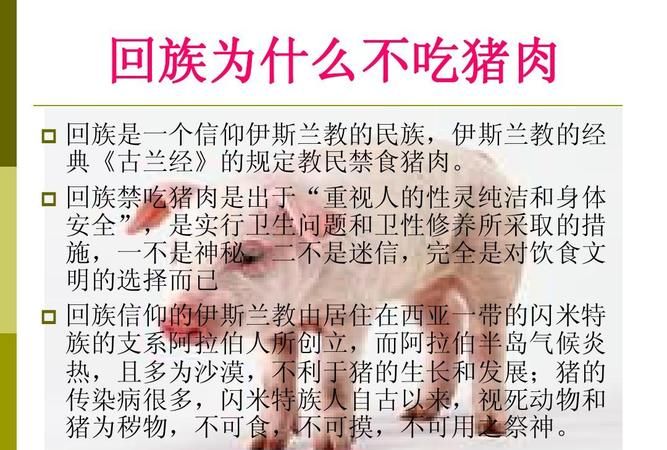 什么民族不吃什么肉