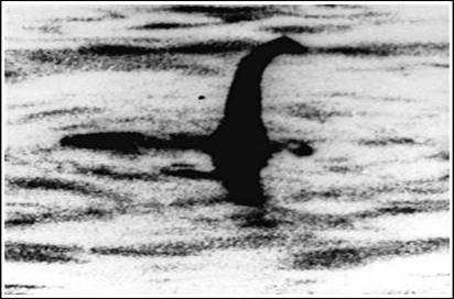 全球5大诡异事件尼斯湖水怪（尼斯湖水怪究竟是未知生物）(1)