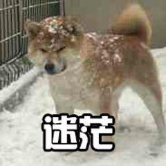 适合男生的网站有哪些（男人一定要趁早看这5个网站）(2)