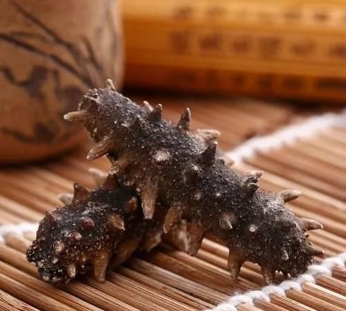 干海参存放怎么保存