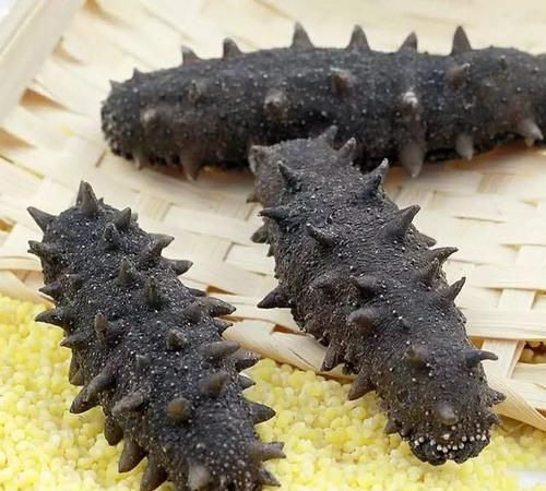 海参保存方法干海参怎么保存