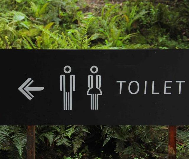 欧洲露天的厕所（法国女性露天小便池火了）(5)