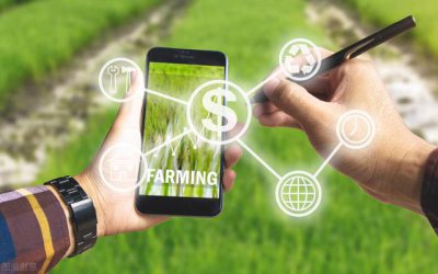 ​农业类相关基础知识（341农业知识综合三）