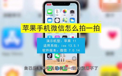 ​苹果手机怎么使用微信拍一拍功能（苹果IOS系统微信拍一拍操作介绍）