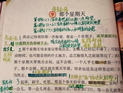 ​那个星期天主要内容（那个星期天主要内容解析）