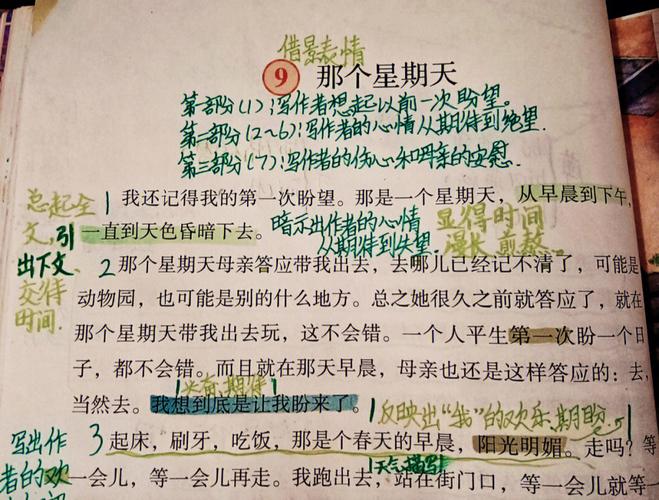 那个星期天主要内容（那个星期天主要内容解析）