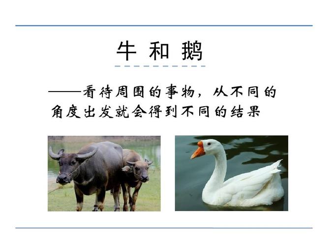 牛和鹅的故事告诉了我们一个什么道理（牛和鹅的寓意）