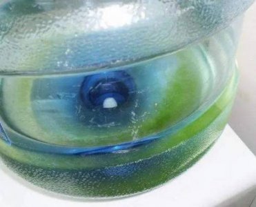 ​怎么让塑料桶不长青苔（防止塑料桶长青苔的小窍门）