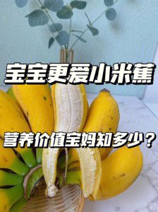 ​小米香蕉的功效和作用（小米香蕉的功效和作用介绍）