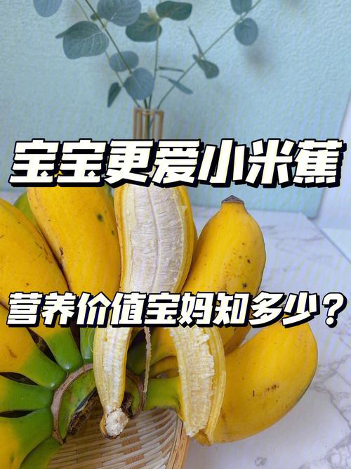 小米香蕉的功效和作用（小米香蕉的功效和作用介绍）