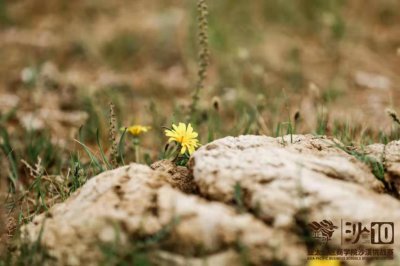 ​跨越人生中一道深邃的河流 ——聆听参赛老师们的声音