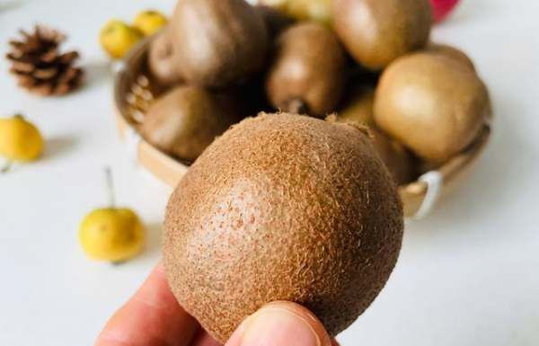 野生猕猴桃怎么催熟更甜,猕猴桃放了一个月还是硬的怎么办图1