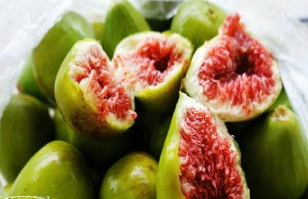 七月无花果产地,无花果从结果到成熟需要多少天时间图11