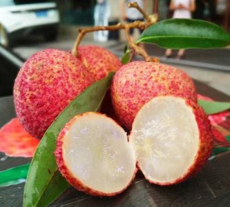 ​糯米糍荔枝几月成熟,最好吃的荔枝是哪一种呢图片