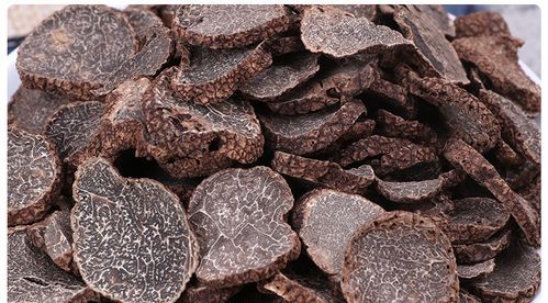 黑松露是什么东西 多少钱：「黑松露」是什么 点解会咁贵