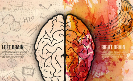 左脑右脑分别控制什么,右手左脑右脑分别控制什么图2