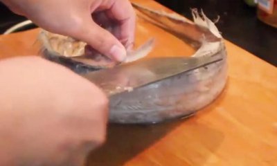 ​带鱼怎么处理，带鱼怎么处理？