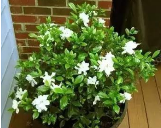 甲醛0.5-0.6之间能住,甲醛0.05到0.06之间能住吗图8