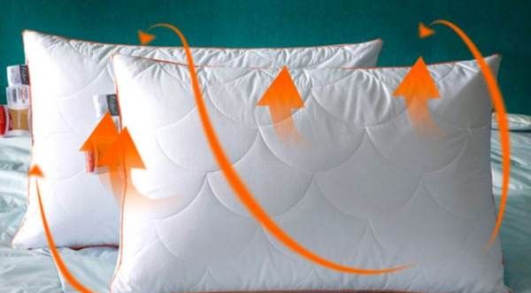 为什么酒店都用羽绒枕,酒店枕头为什么那么舒服牌子图4