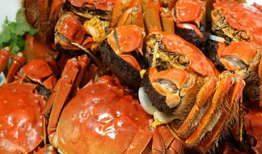 螃蟹可以养活几天,螃蟹买回家之后死掉了还能吃吗图1