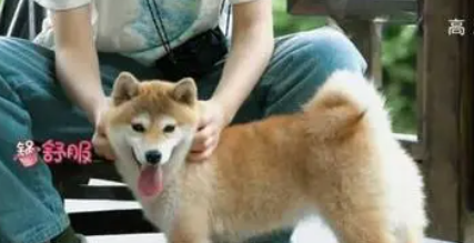 西山区美食一条街在哪里,昆明小吃一条街在哪里东寺街图6