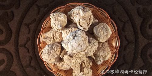 玛咖是什么东西