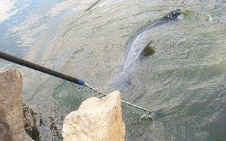 鱼钩的种类及对应的优缺点（市面上常见的五种鱼钩都有什么特点）(2)