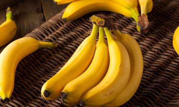 南方有哪些水果,适合南方种植的水果有什么好推荐图1