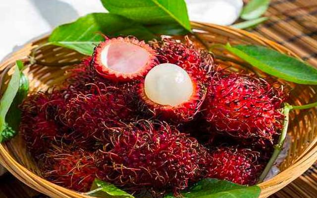 南方水果和北方水果有哪些