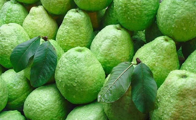 南方的水果有哪些