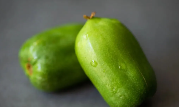 南方有哪些水果,适合南方种植的水果有什么好推荐图7