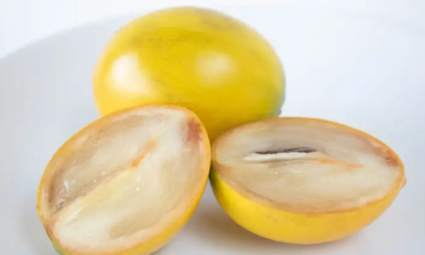 南方有哪些水果,适合南方种植的水果有什么好推荐图5