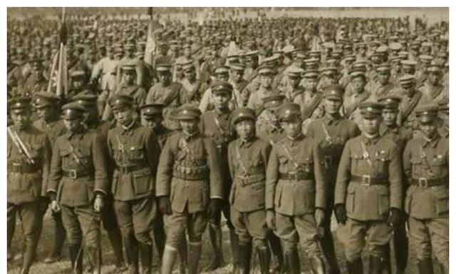 上校军衔的狗(国军军衔科普)图4