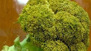 西兰花变黄了还能吃吗百度百科