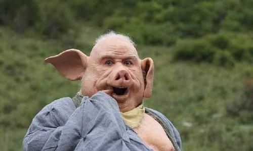 猪八戒的优点文雅词语