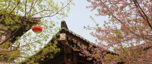 西安青龙寺攻略(青龙寺入口)-第1张图片-