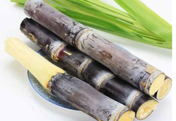 甘蔗为什么会空心,甘蔗有空心是怎么回事图3