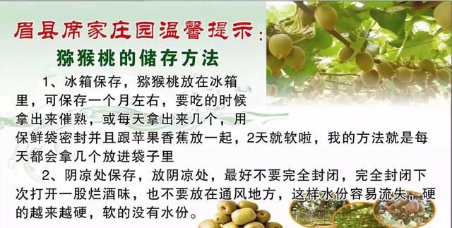 奇异果的功效是什么，金奇异果与绿奇异果有什么区别？图3